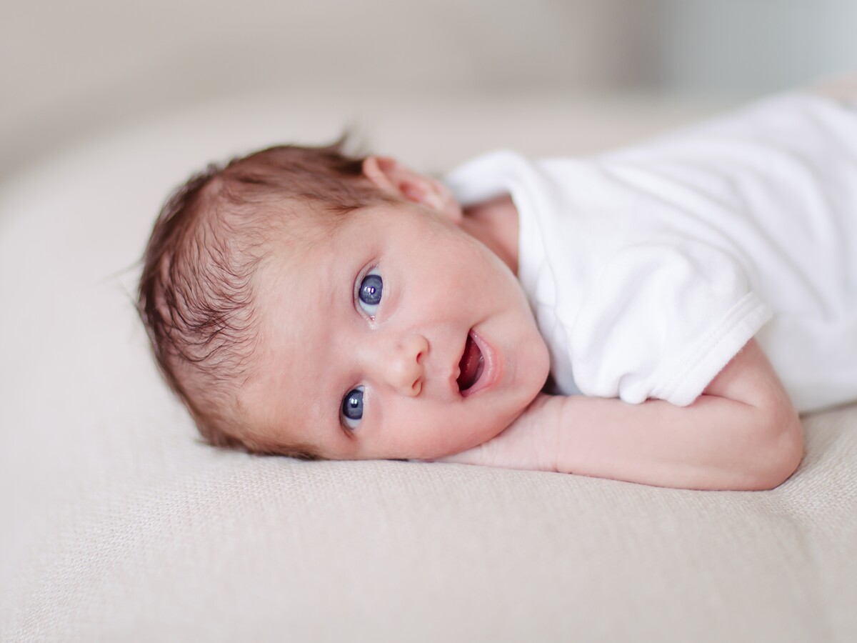 Newborn Homestory mit Hund – Bild 1