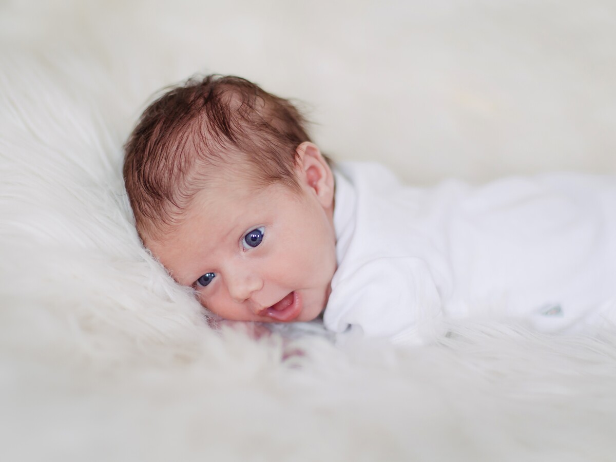 Newborn Homestory mit Hund – Bild 1