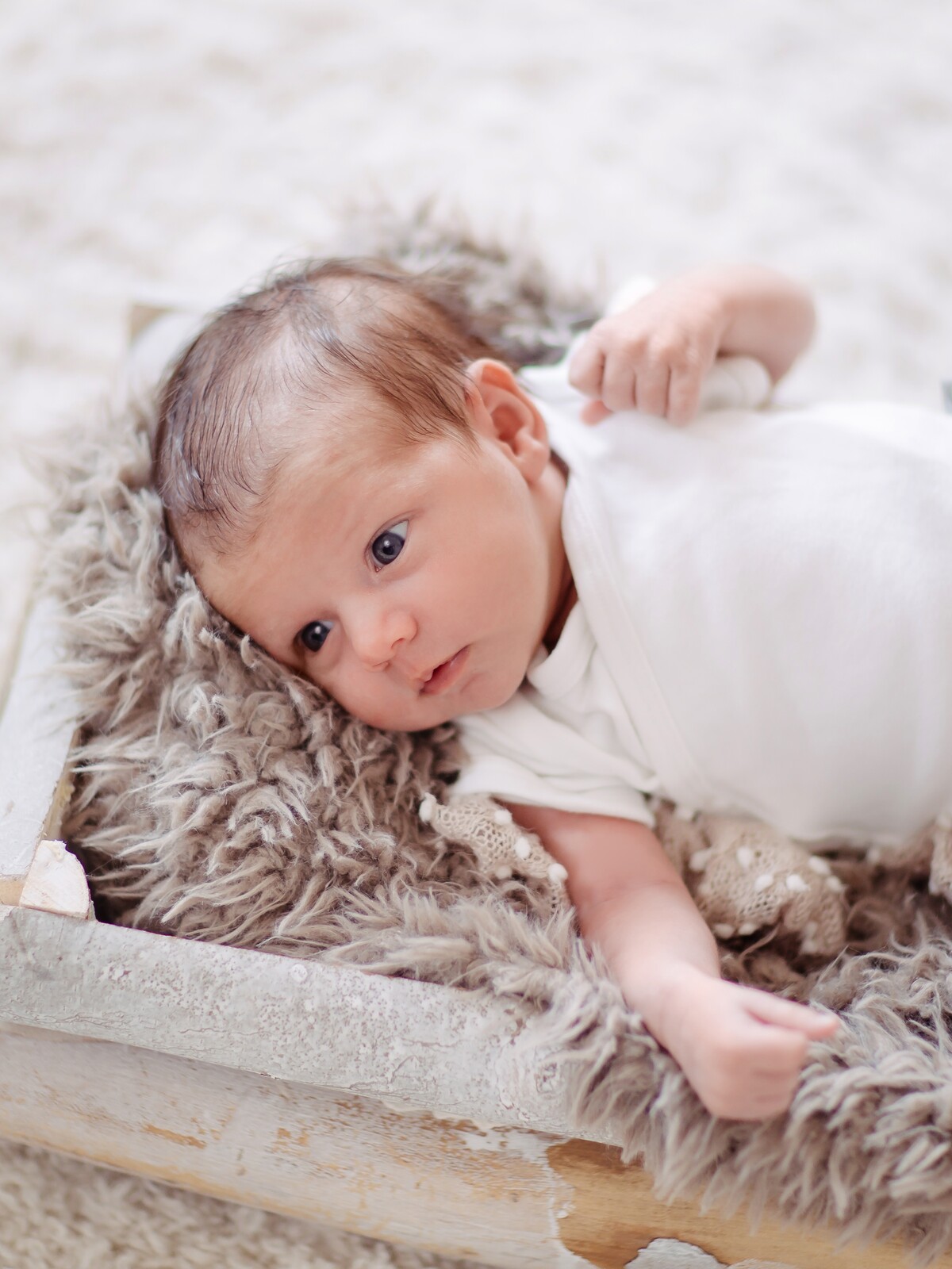Newborn Homestory mit Hund – Bild 1